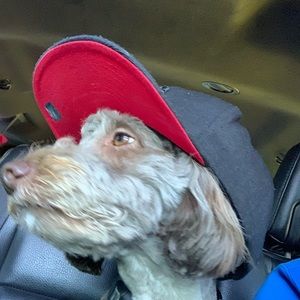 Meet your Posher, Matthew